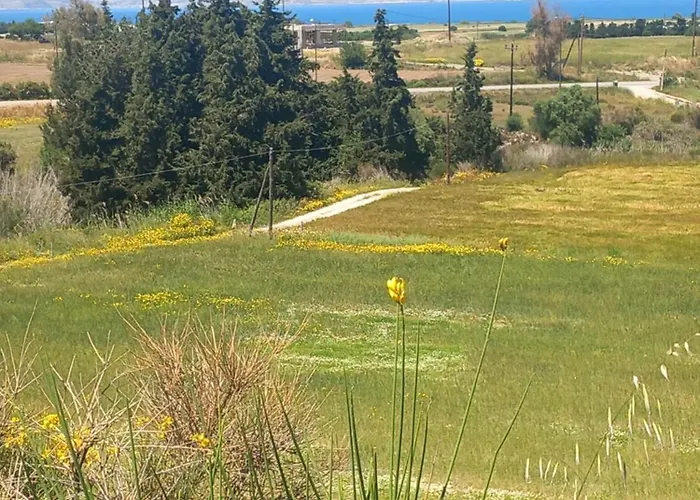 ヴィラ Panoramica