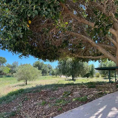 فيلة Panoramica Pylion