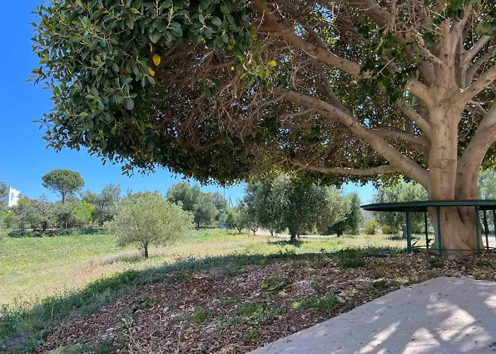 فيلة Panoramica Pylion